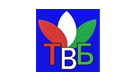 TV Bakhoriston