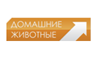 Домашние животные