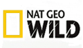 NatGeoWILD 